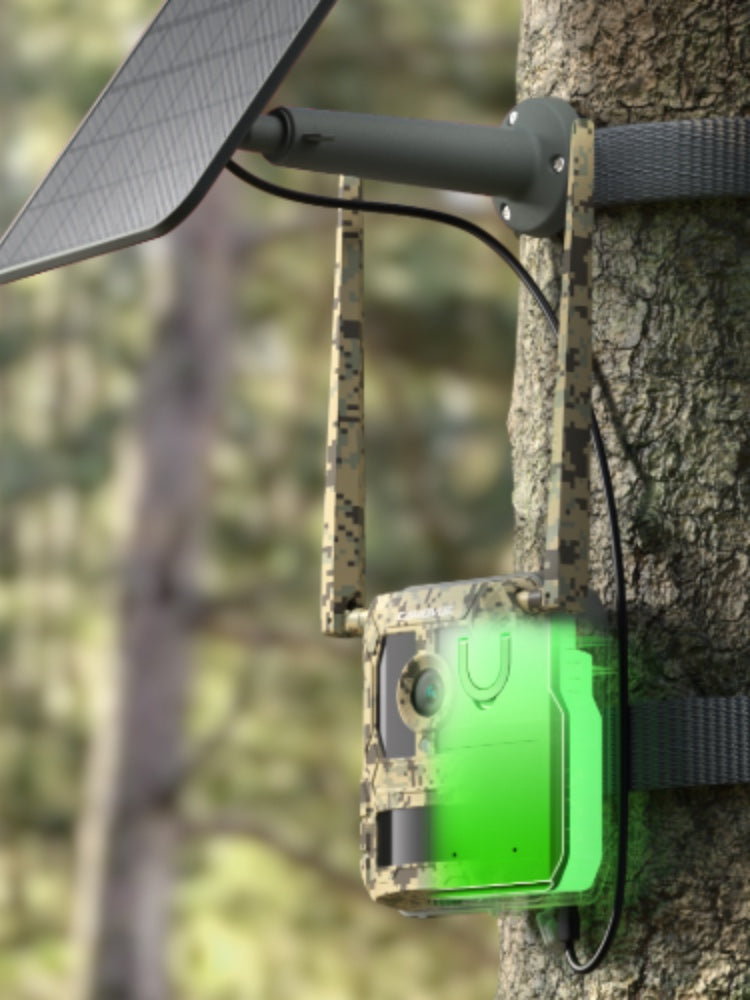 Talon Pro - 4G Jaktkamera
